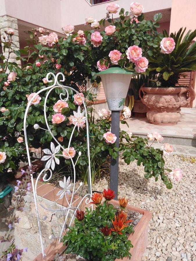 The Roses Garden Acomodação com café da manhã La Maddalena  Exterior foto