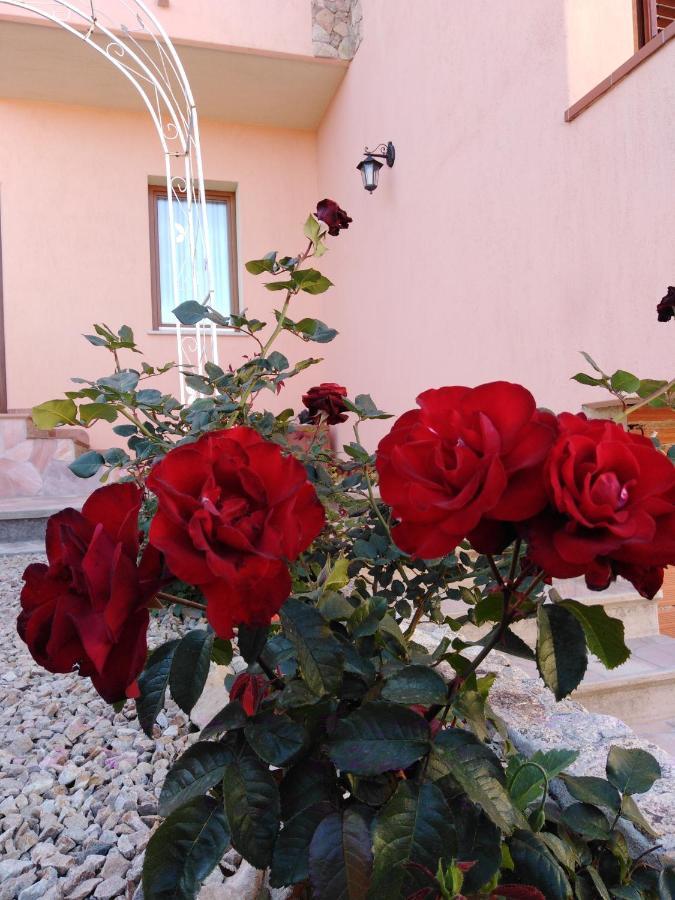 The Roses Garden Acomodação com café da manhã La Maddalena  Exterior foto